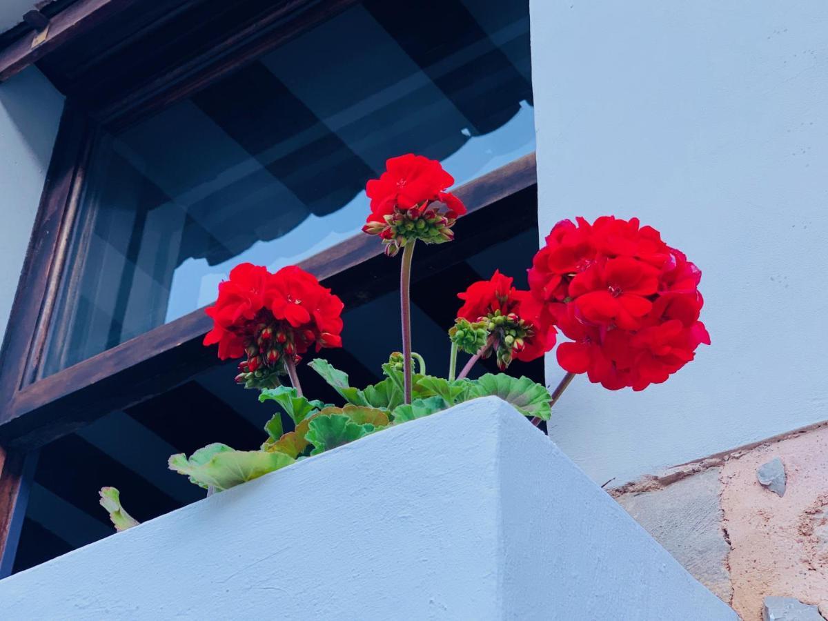 Can Pera Accommodation - TI Fornalutx Exterior foto