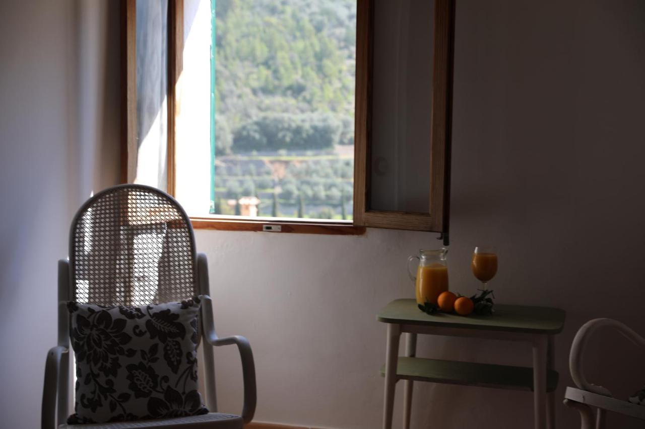 Can Pera Accommodation - TI Fornalutx Exterior foto